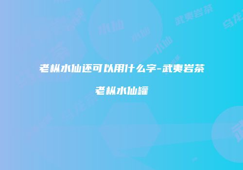老枞水仙还可以用什么字-武夷岩茶老枞水仙罐