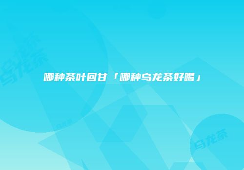 哪种茶叶回甘「哪种乌龙茶好喝」