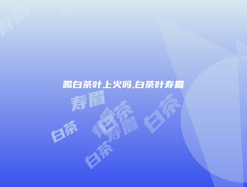 喝白茶叶上火吗,白茶叶寿眉