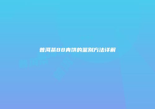 普洱茶88青饼的鉴别方法详解