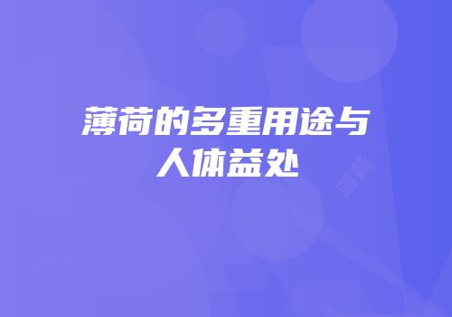 薄荷的多重用途与人体益处