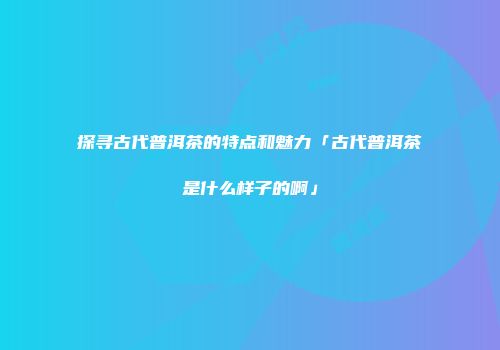 探寻古代普洱茶的特点和魅力「古代普洱茶是什么样子的啊」