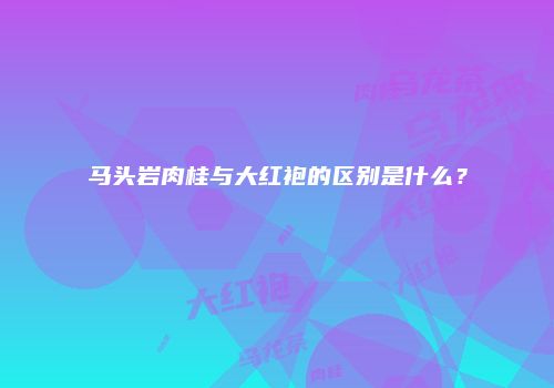 马头岩肉桂与大红袍的区别是什么？