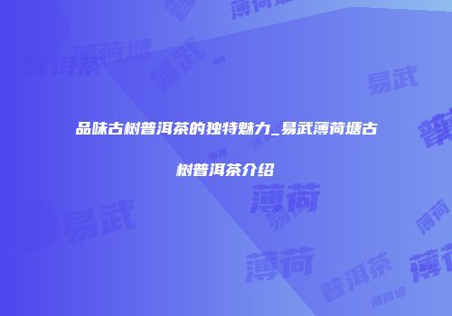 品味古树普洱茶的独特魅力_易武薄荷塘古树普洱茶介绍