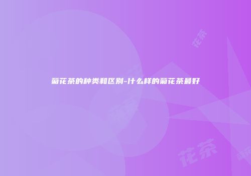 菊花茶的种类和区别-什么样的菊花茶最好