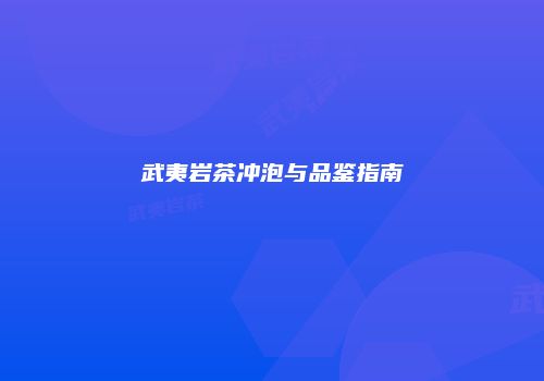 武夷岩茶冲泡与品鉴指南