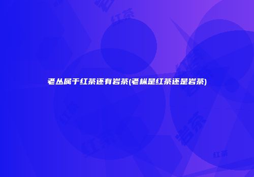老丛属于红茶还有岩茶(老枞是红茶还是岩茶)