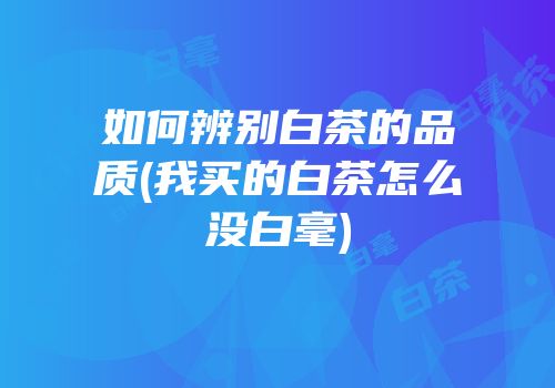 如何辨别白茶的品质(我买的白茶怎么没白毫)