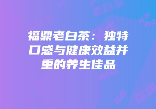 福鼎老白茶：独特口感与健康效益并重的养生佳品