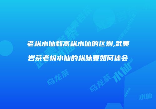 老枞水仙和高枞水仙的区别,武夷岩茶老枞水仙的枞味要如何体会