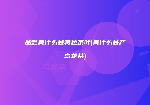 品尝黄什么县特色茶叶(黄什么县产乌龙茶)