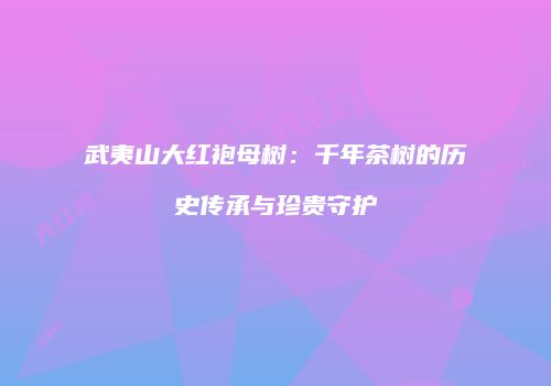 武夷山大红袍母树：千年茶树的历史传承与珍贵守护