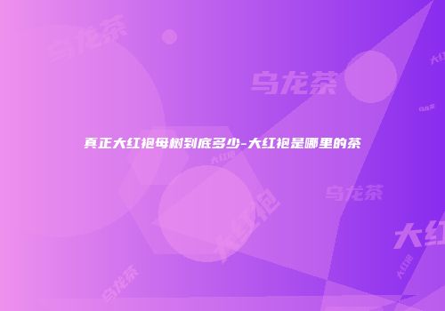 真正大红袍母树到底多少-大红袍是哪里的茶