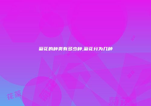 菊花的种类有多少种,菊花分为几种