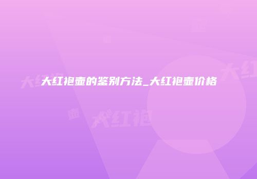 大红袍壶的鉴别方法_大红袍壶价格