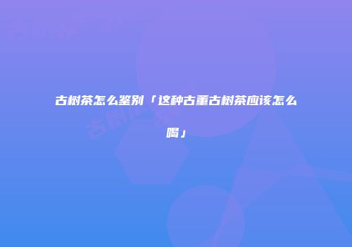 古树茶怎么鉴别「这种古董古树茶应该怎么喝」