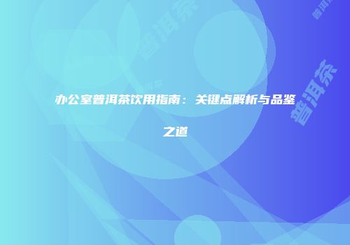 办公室普洱茶饮用指南：关键点解析与品鉴之道