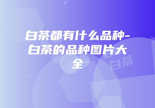 白茶都有什么品种-白茶的品种图片大全
