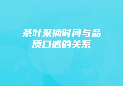 茶叶采摘时间与品质口感的关系