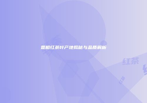 壹相红茶叶产地揭秘与品质解析