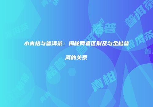 小青柑与普洱茶：揭秘两者区别及与金桔普洱的关系