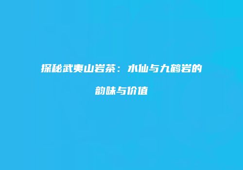 探秘武夷山岩茶：水仙与九鹤岩的韵味与价值