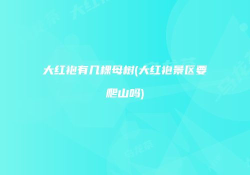大红袍有几棵母树(大红袍景区要爬山吗)