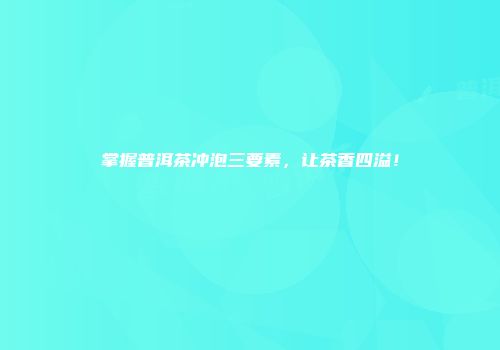掌握普洱茶冲泡三要素，让茶香四溢！