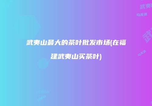 武夷山最大的茶叶批发市场(在福建武夷山买茶叶)