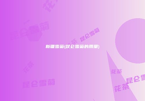 新疆雪菊(昆仑雪菊的用量)