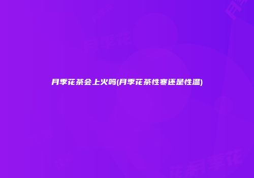 月季花茶会上火吗(月季花茶性寒还是性温)