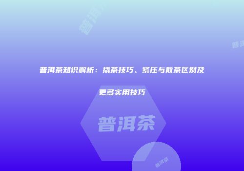 普洱茶知识解析：撬茶技巧、紧压与散茶区别及更多实用技巧