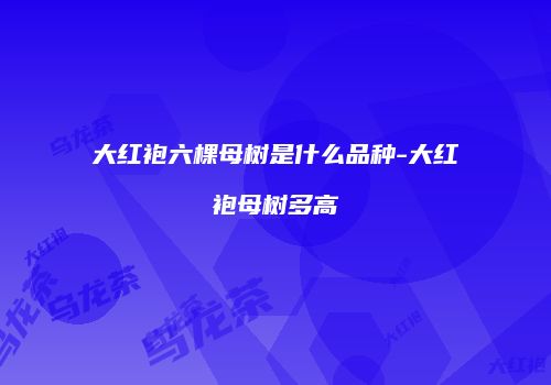 大红袍六棵母树是什么品种-大红袍母树多高