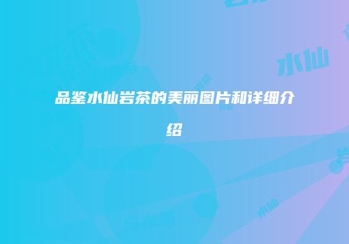 品鉴水仙岩茶的美丽图片和详细介绍