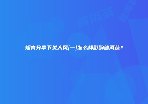 知青分享下关大风{一}怎么样影响普洱茶？