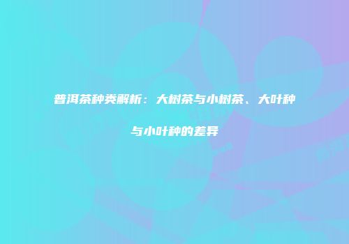 普洱茶种类解析：大树茶与小树茶、大叶种与小叶种的差异