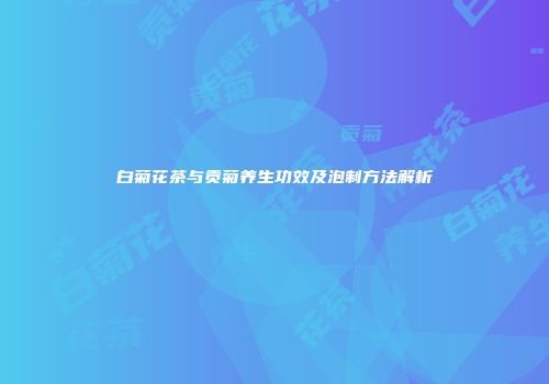 白菊花茶与贡菊养生功效及泡制方法解析