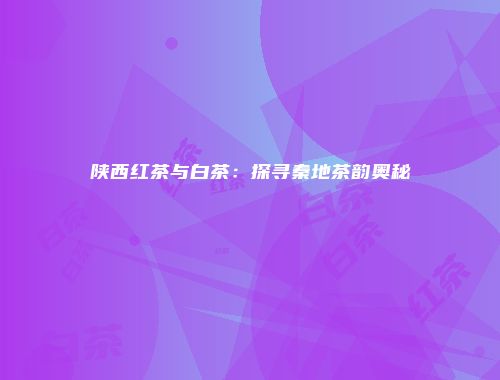 陕西红茶与白茶：探寻秦地茶韵奥秘