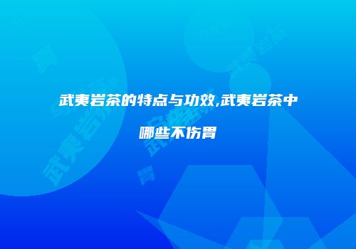武夷岩茶的特点与功效,武夷岩茶中哪些不伤胃