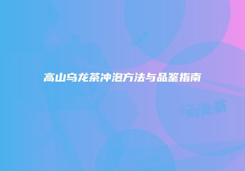 高山乌龙茶冲泡方法与品鉴指南