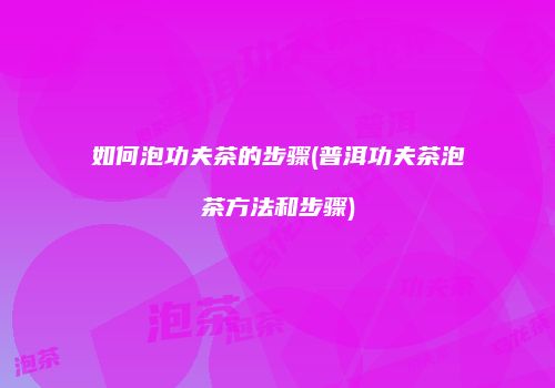 如何泡功夫茶的步骤(普洱功夫茶泡茶方法和步骤)