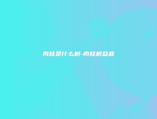 肉桂是什么树-肉桂树盆栽