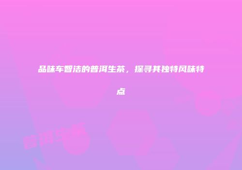 品味车智洁的普洱生茶，探寻其独特风味特点