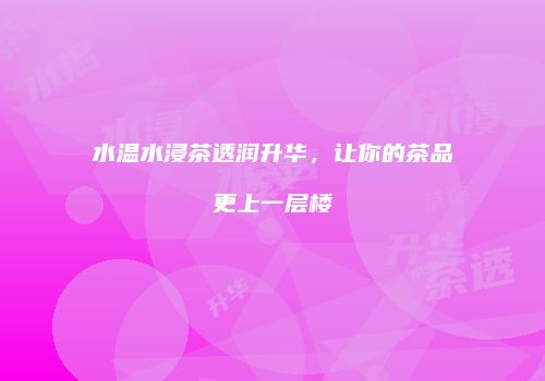 水温水浸茶透润升华，让你的茶品更上一层楼