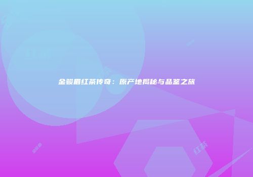 金骏眉红茶传奇：原产地揭秘与品鉴之旅