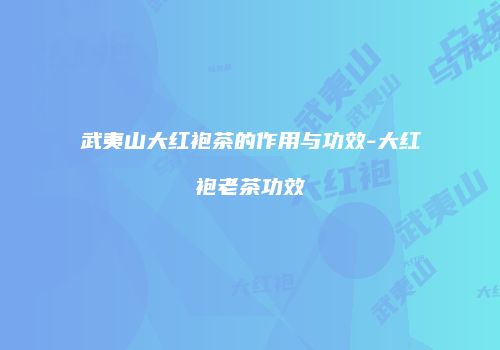 武夷山大红袍茶的作用与功效-大红袍老茶功效