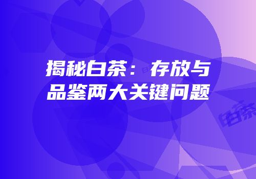 揭秘白茶：存放与品鉴两大关键问题