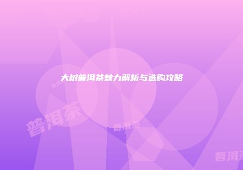 大树普洱茶魅力解析与选购攻略