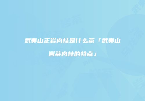 武夷山正岩肉桂是什么茶「武夷山岩茶肉桂的特点」