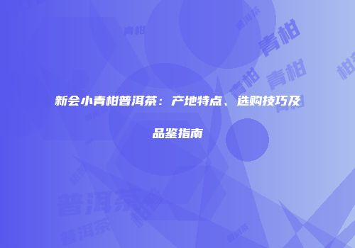 新会小青柑普洱茶：产地特点、选购技巧及品鉴指南